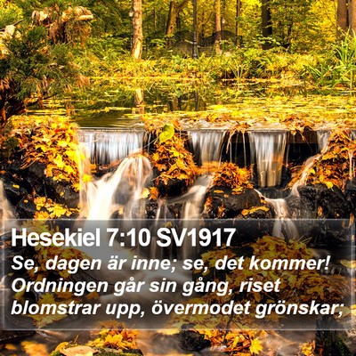 Hesekiel 7:10 SV1917 Bible Verse Image