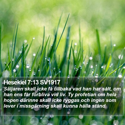Hesekiel 7:13 SV1917 Bible Verse Image