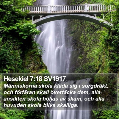 Hesekiel 7:18 SV1917 Bible Verse Image