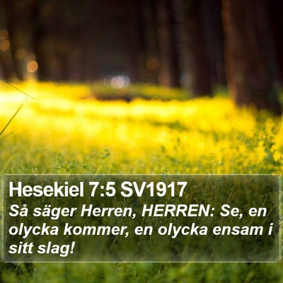 Hesekiel 7:5 SV1917 Bible Verse Image