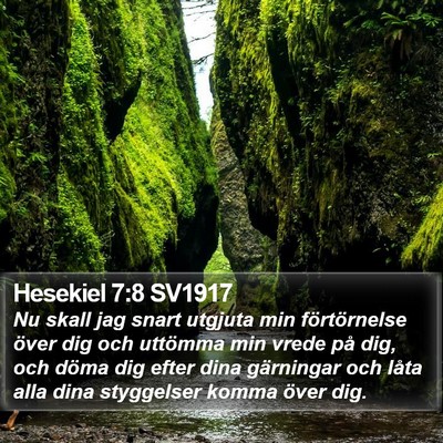 Hesekiel 7:8 SV1917 Bible Verse Image