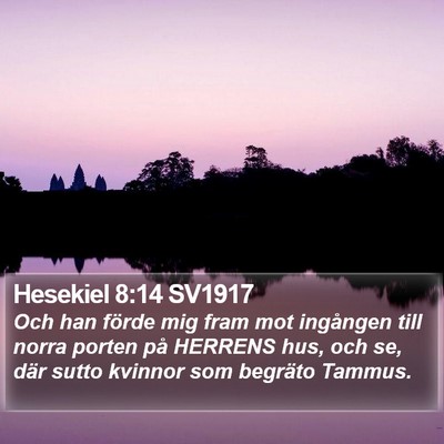 Hesekiel 8:14 SV1917 Bible Verse Image