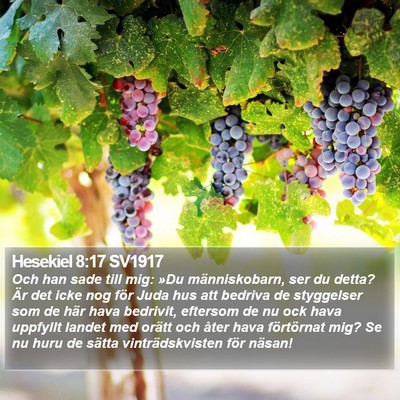Hesekiel 8:17 SV1917 Bible Verse Image