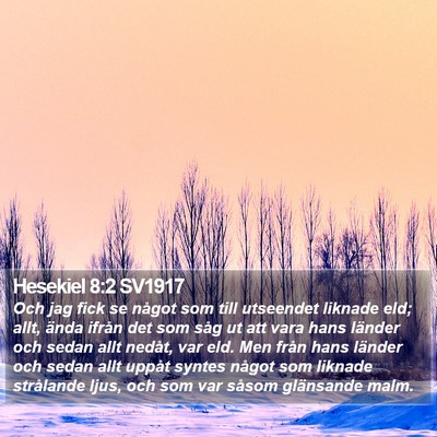 Hesekiel 8:2 SV1917 Bible Verse Image
