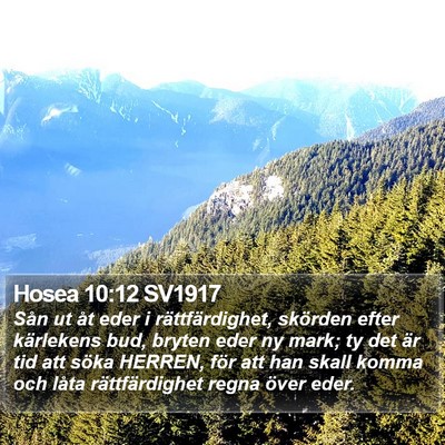 Hosea 10:12 SV1917 Bible Verse Image