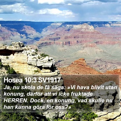 Hosea 10:3 SV1917 Bible Verse Image