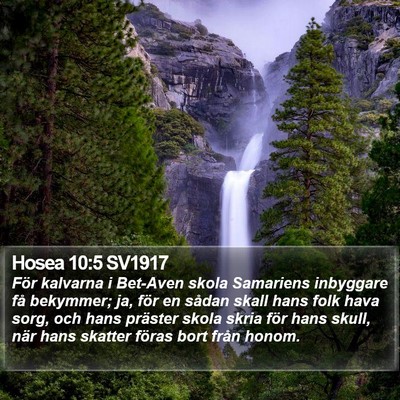 Hosea 10:5 SV1917 Bible Verse Image