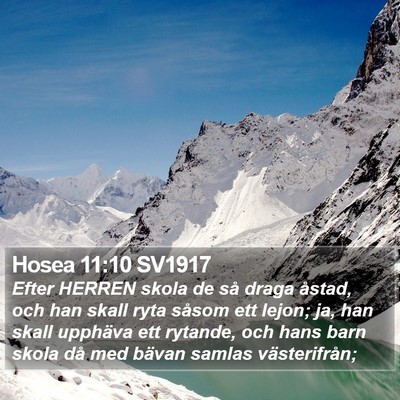 Hosea 11:10 SV1917 Bible Verse Image