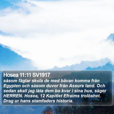 Hosea 11:11 SV1917 Bible Verse Image