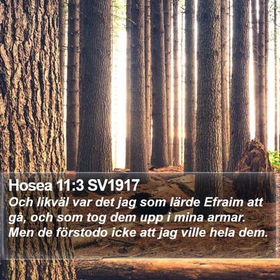 Hosea 11:3 SV1917 Bible Verse Image