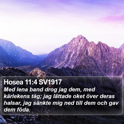 Hosea 11:4 SV1917 Bible Verse Image