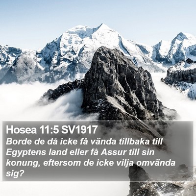 Hosea 11:5 SV1917 Bible Verse Image