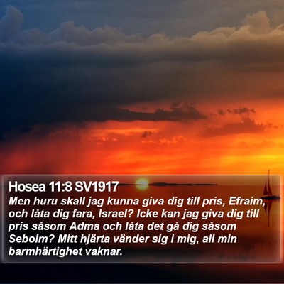 Hosea 11:8 SV1917 Bible Verse Image
