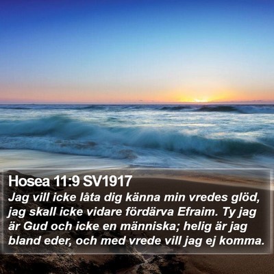 Hosea 11:9 SV1917 Bible Verse Image
