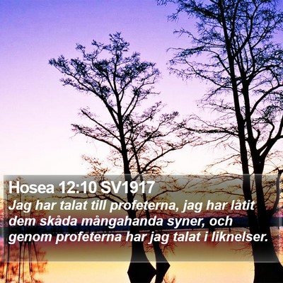 Hosea 12:10 SV1917 Bible Verse Image