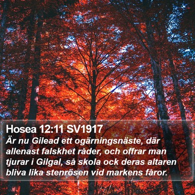 Hosea 12:11 SV1917 Bible Verse Image