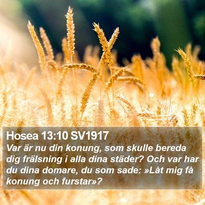 Hosea 13:10 SV1917 Bible Verse Image