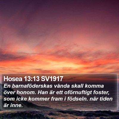 Hosea 13:13 SV1917 Bible Verse Image