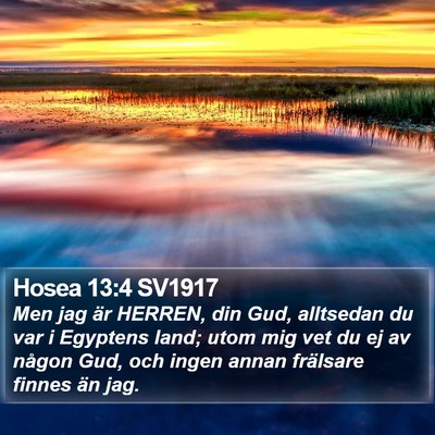 Hosea 13:4 SV1917 Bible Verse Image