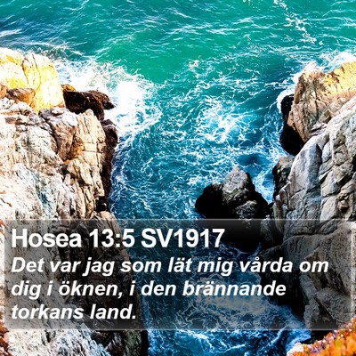 Hosea 13:5 SV1917 Bible Verse Image