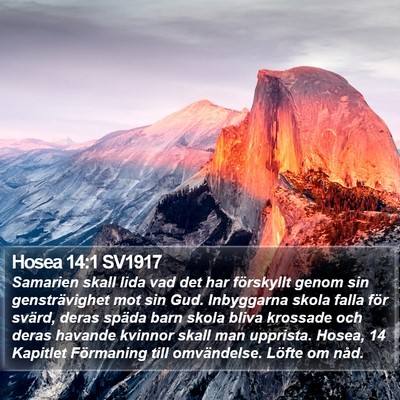 Hosea 14:1 SV1917 Bible Verse Image