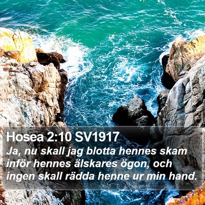Hosea 2:10 SV1917 Bible Verse Image