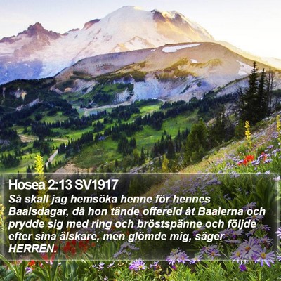 Hosea 2:13 SV1917 Bible Verse Image