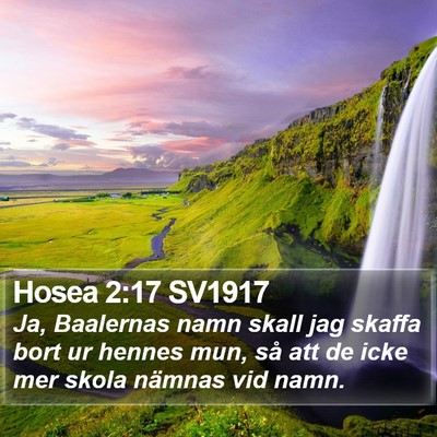 Hosea 2:17 SV1917 Bible Verse Image