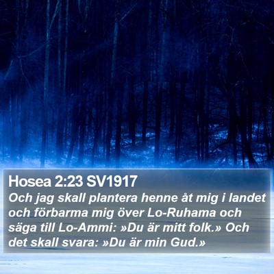 Hosea 2:23 SV1917 Bible Verse Image