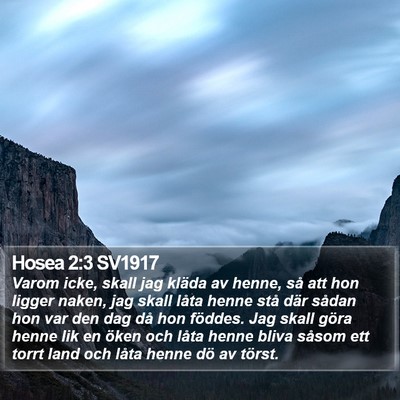 Hosea 2:3 SV1917 Bible Verse Image