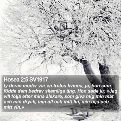 Hosea 2:5 SV1917 Bible Verse Image