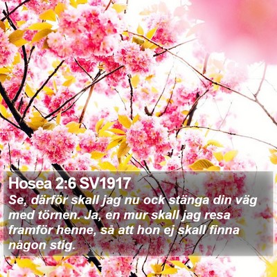 Hosea 2:6 SV1917 Bible Verse Image
