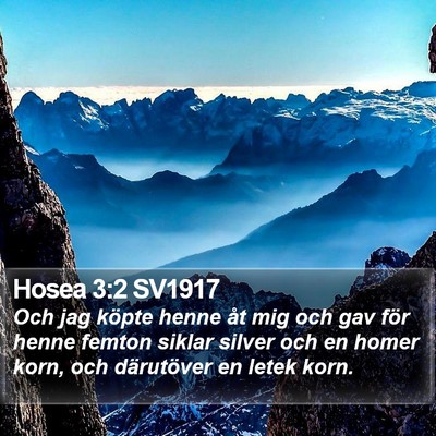 Hosea 3:2 SV1917 Bible Verse Image