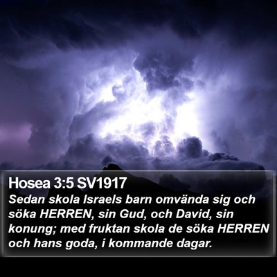 Hosea 3:5 SV1917 Bible Verse Image