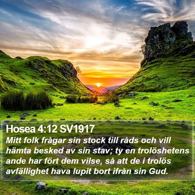 Hosea 4:12 SV1917 Bible Verse Image