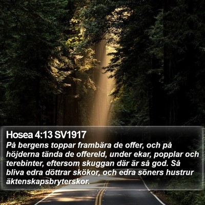 Hosea 4:13 SV1917 Bible Verse Image