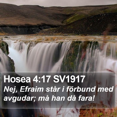 Hosea 4:17 SV1917 Bible Verse Image