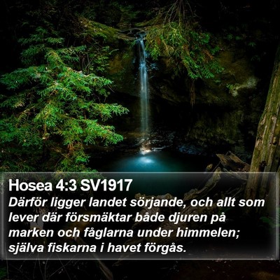 Hosea 4:3 SV1917 Bible Verse Image