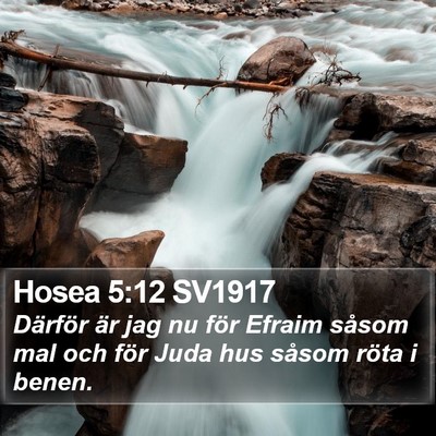 Hosea 5:12 SV1917 Bible Verse Image