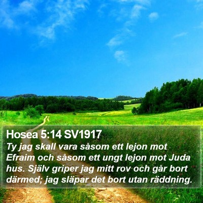 Hosea 5:14 SV1917 Bible Verse Image