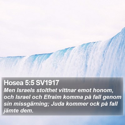 Hosea 5:5 SV1917 Bible Verse Image