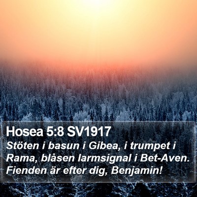 Hosea 5:8 SV1917 Bible Verse Image