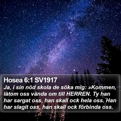 Hosea 6:1 SV1917 Bible Verse Image