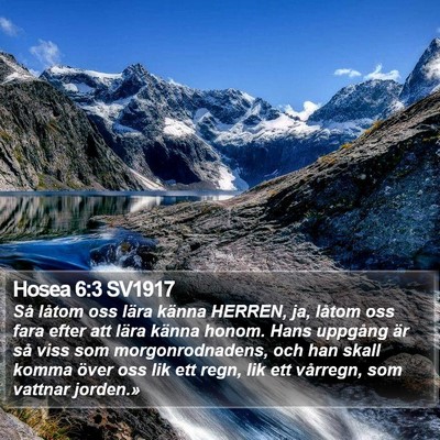 Hosea 6:3 SV1917 Bible Verse Image