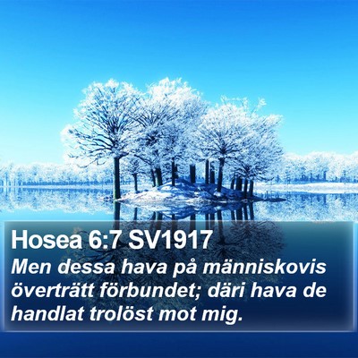 Hosea 6:7 SV1917 Bible Verse Image