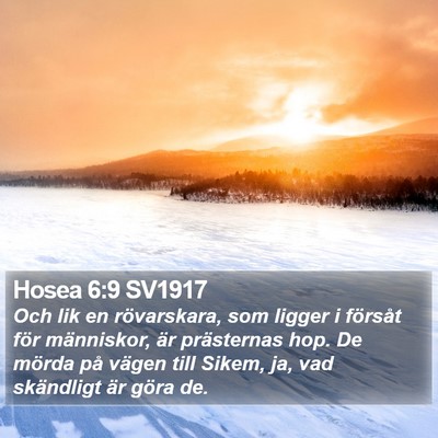 Hosea 6:9 SV1917 Bible Verse Image