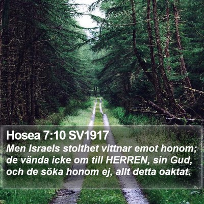 Hosea 7:10 SV1917 Bible Verse Image