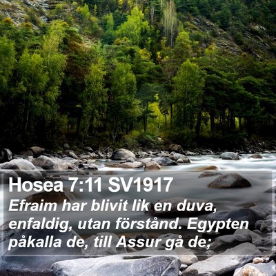 Hosea 7:11 SV1917 Bible Verse Image