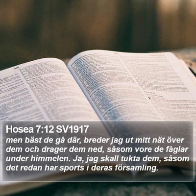 Hosea 7:12 SV1917 Bible Verse Image