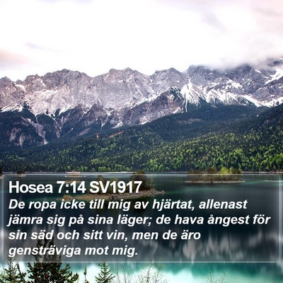 Hosea 7:14 SV1917 Bible Verse Image